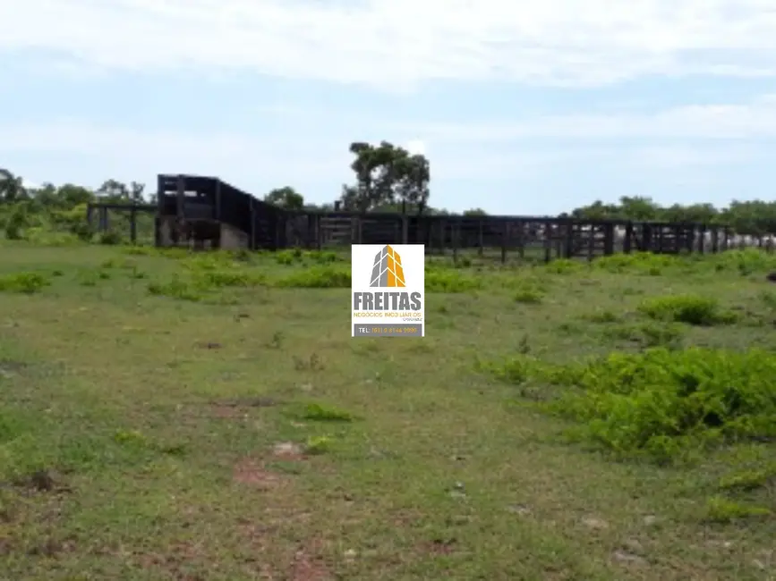 Foto 7 de Fazenda / Haras com 3 quartos à venda, 1186m2 em Natividade - TO