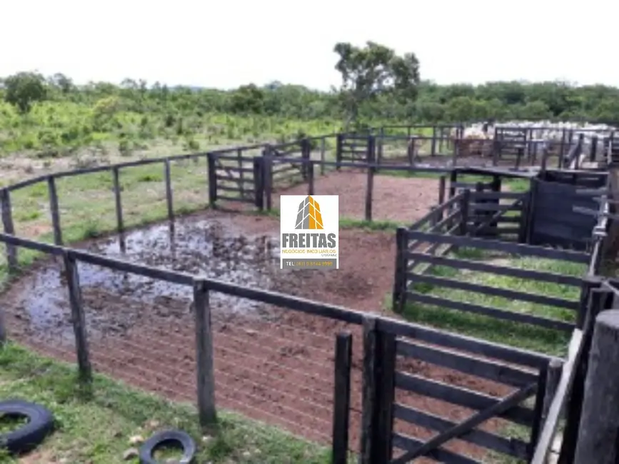 Foto 5 de Fazenda / Haras com 3 quartos à venda, 1186m2 em Natividade - TO