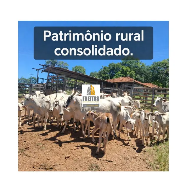 Foto 4 de Fazenda / Haras com 4 quartos à venda, 536m2 em Curvelo - MG