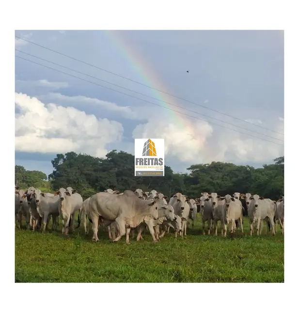 Foto 5 de Fazenda / Haras com 4 quartos à venda, 536m2 em Curvelo - MG