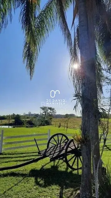 Chácara com 4 quartos para alugar, 300m2 em Santa Maria - RS - imagem 8 Foto 8 de Chácara com 4 quartos para alugar, 300m2 em Santa Maria - RS