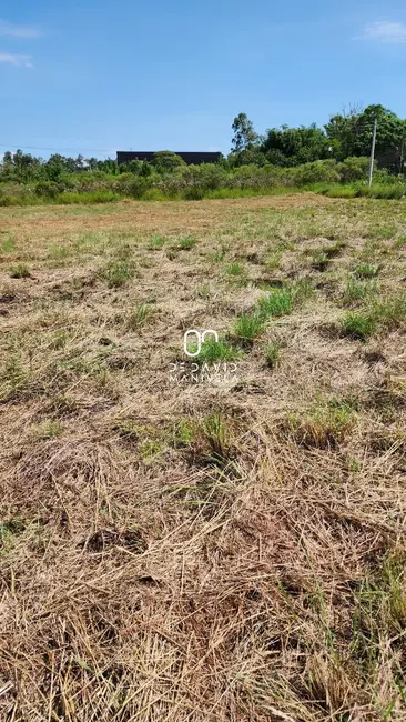 Foto 2 de Terreno / Lote à venda, 1400m2 em Diácono João Luiz Pozzobon, Santa Maria - RS