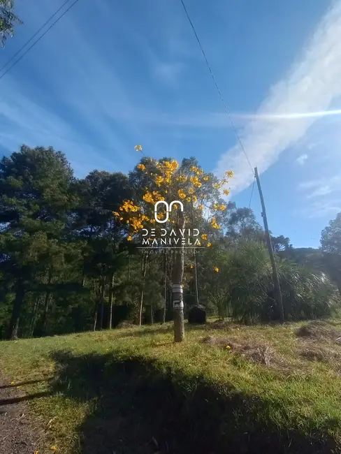 Foto 3 de Chácara com 2 quartos à venda, 1500m2 em Itararé, Santa Maria - RS