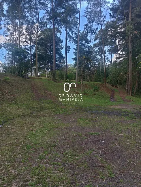 Foto 9 de Chácara com 2 quartos à venda, 1500m2 em Itararé, Santa Maria - RS