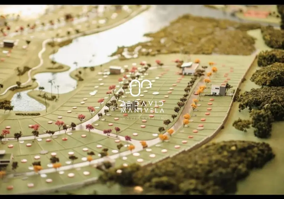 Foto 4 de Terreno / Lote à venda, 362m2 em Tomazetti, Santa Maria - RS