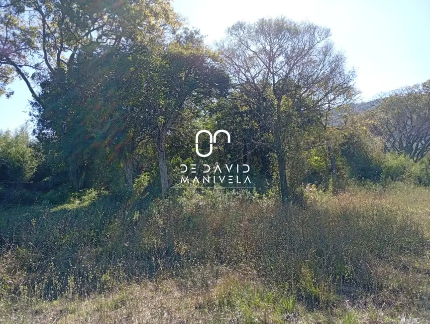 Foto 4 de Terreno / Lote à venda, 1500m2 em Chácara das Flores, Santa Maria - RS