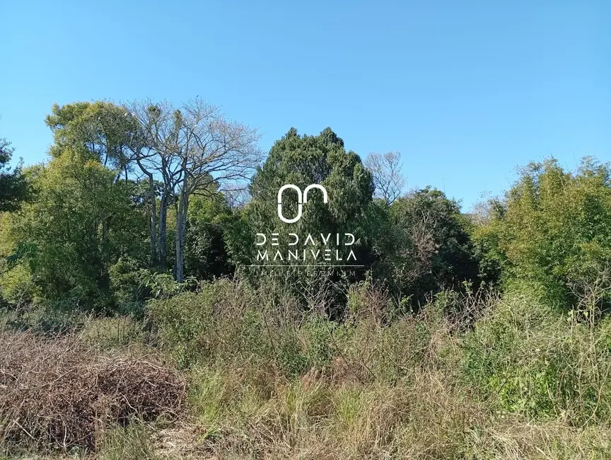 Foto 8 de Terreno / Lote à venda, 1500m2 em Chácara das Flores, Santa Maria - RS