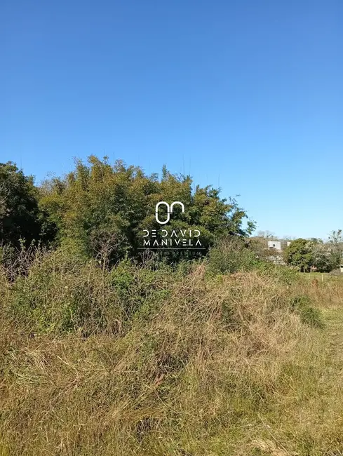 Foto 9 de Terreno / Lote à venda, 1500m2 em Chácara das Flores, Santa Maria - RS