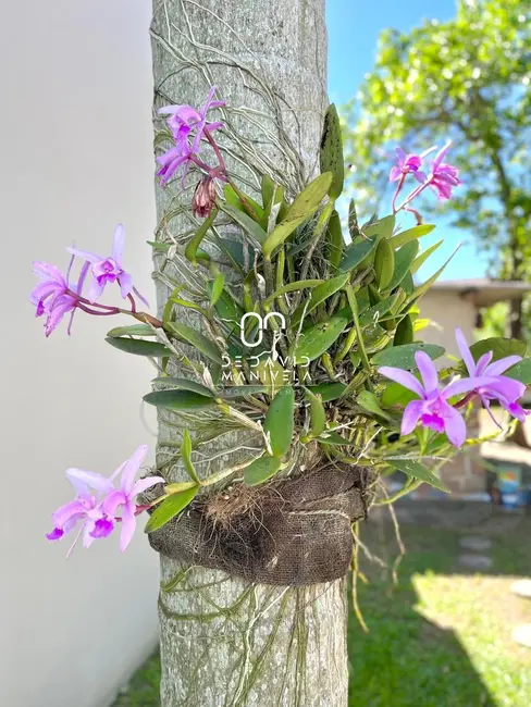 Casa com 3 quartos para alugar, 160m2 em Duque de Caxias, Santa Maria - RS - imagem 3 Foto 3 de Casa com 3 quartos para alugar, 160m2 em Duque de Caxias, Santa Maria - RS