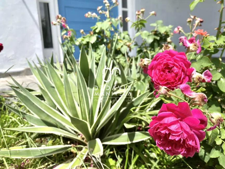 Casa com 3 quartos para alugar, 118m2 em Itararé, Santa Maria - RS - imagem 3 Foto 3 de Casa com 3 quartos para alugar, 118m2 em Itararé, Santa Maria - RS