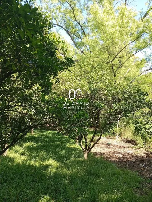 Foto 8 de Chácara com 1 quarto à venda, 2250m2 em Santa Maria - RS