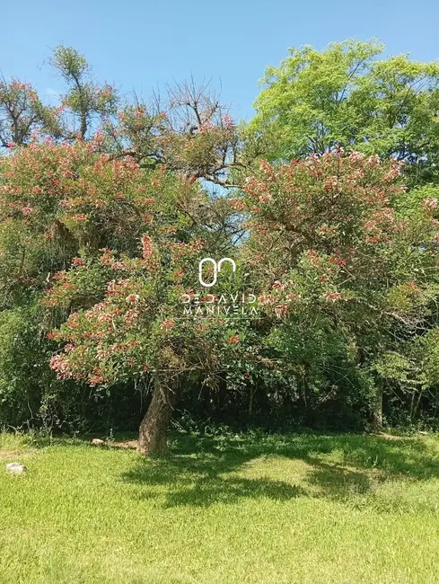 Foto 5 de Chácara com 1 quarto à venda, 2250m2 em Santa Maria - RS
