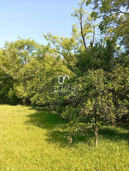 Foto 7 de Chácara com 1 quarto à venda, 2250m2 em Santa Maria - RS