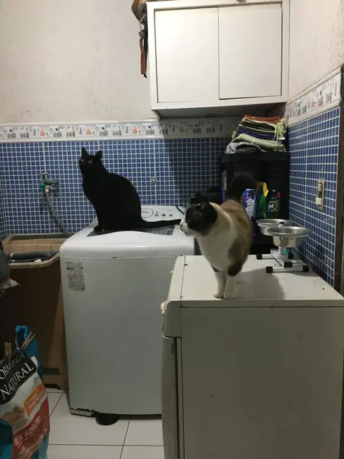 Foto 5 de Casa com 3 quartos à venda em Eldorado, Diadema - SP