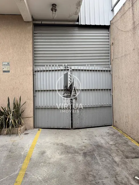 Foto 4 de Sala Comercial para alugar, 330m2 em Vila Prudente, São Paulo - SP