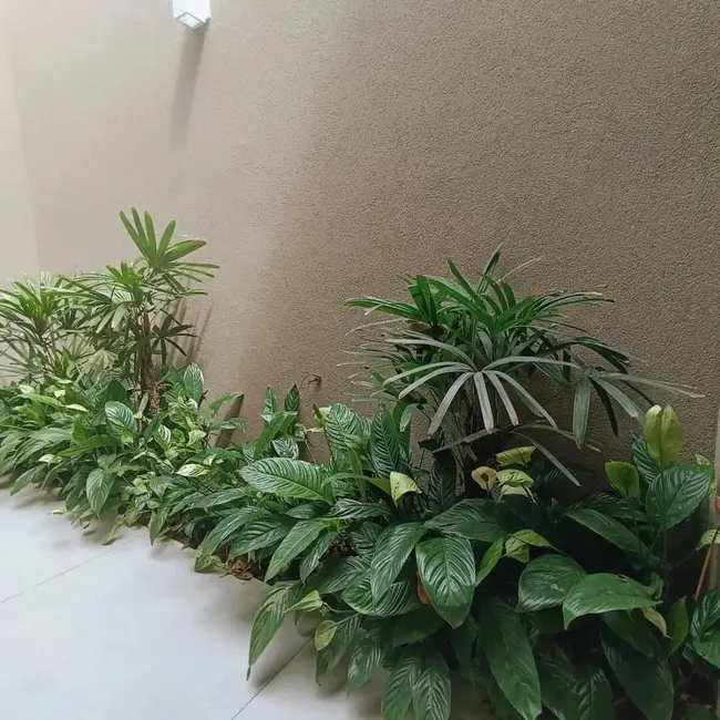 Foto 2 de Casa com 2 quartos à venda, 89m2 em Franca - SP