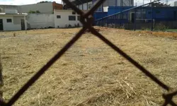 Imagem 2
