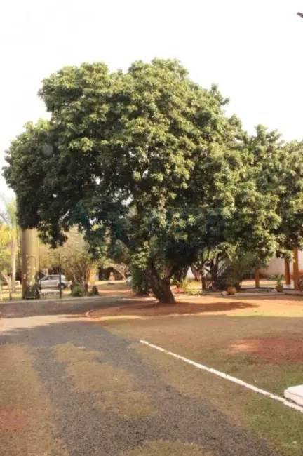 Chácara para alugar em Recreio Anhangüera, Ribeirao Preto - SP - imagem 5 Foto 5 de Chácara para alugar em Recreio Anhangüera, Ribeirao Preto - SP