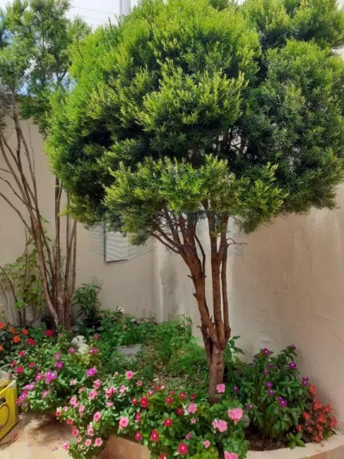 Foto 8 de Casa à venda em Ribeirao Preto - SP