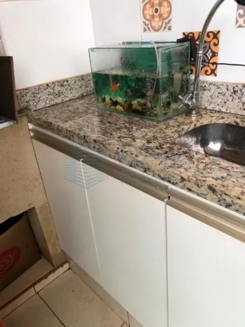 Foto 7 de Apartamento para alugar em Ribeirao Preto - SP