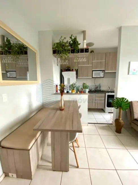 Foto 7 de Apartamento à venda em Ribeirânia, Ribeirao Preto - SP