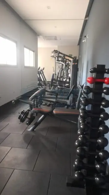 Apartamento para alugar em Jardim Paulista, Ribeirao Preto - SP - imagem 3 Foto 3 de Apartamento para alugar em Jardim Paulista, Ribeirao Preto - SP