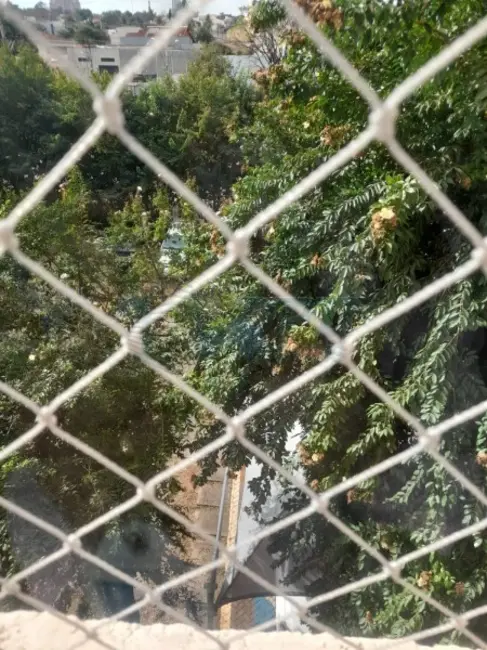 Foto 18 de Apartamento para alugar em Alto da Boa Vista, Ribeirao Preto - SP