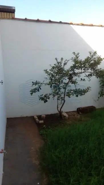 Foto 11 de Casa para alugar em Ribeirao Preto - SP