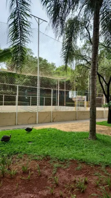 Foto 31 de Apartamento para alugar em Alto da Boa Vista, Ribeirao Preto - SP