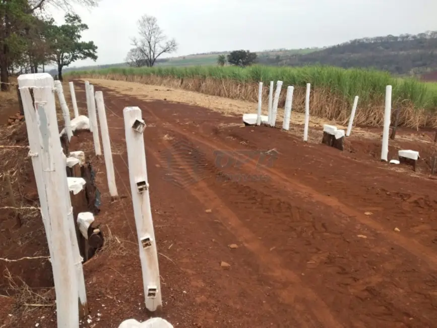 Fazenda / Haras à venda em Batatais - SP - imagem 6 Foto 6 de Fazenda / Haras à venda em Batatais - SP