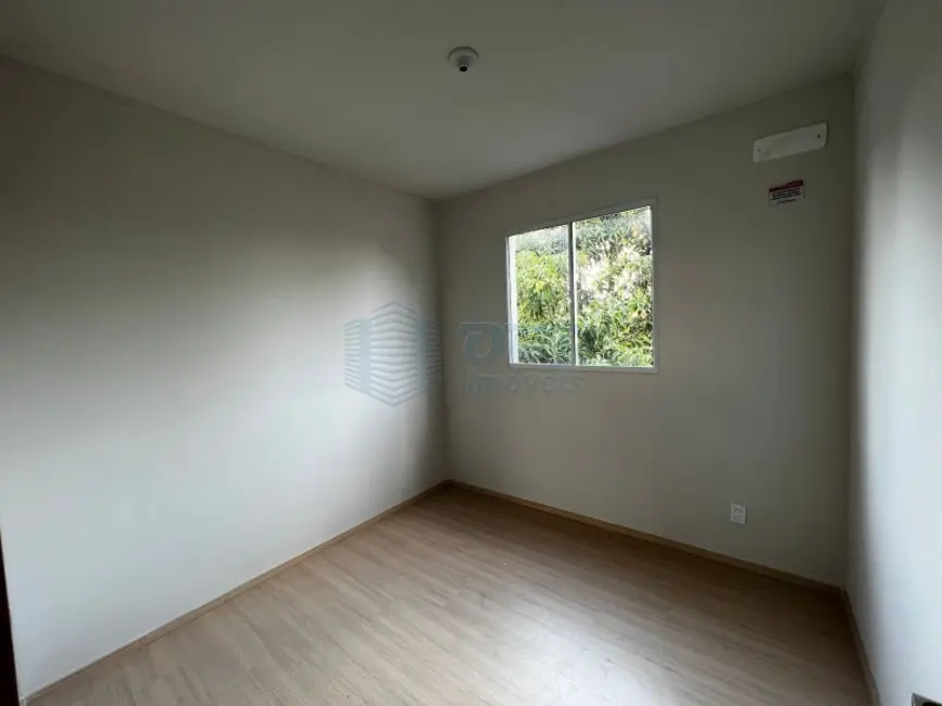 Apartamento à venda em Jardim José Figueira, Ribeirao Preto - SP - imagem 7 Foto 7 de Apartamento à venda em Jardim José Figueira, Ribeirao Preto - SP