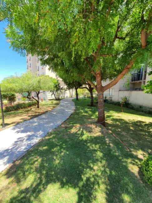 Foto 21 de Apartamento à venda em Alto do Ipiranga, Ribeirao Preto - SP