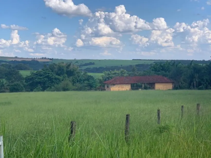 Foto 8 de Fazenda / Haras à venda em Brodowski - SP