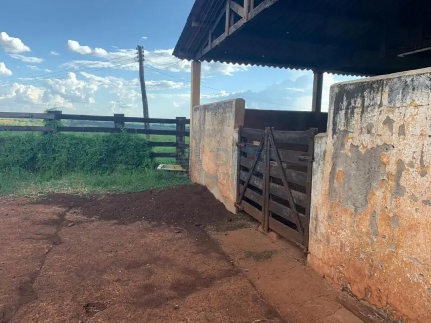 Foto 5 de Fazenda / Haras à venda em Brodowski - SP