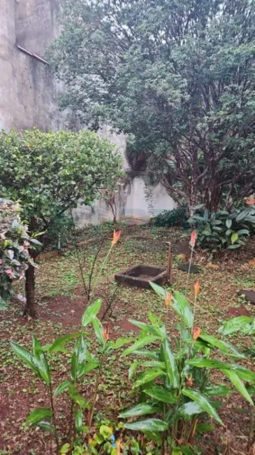 Foto 16 de Casa à venda em Santa Cruz do José Jacques, Ribeirao Preto - SP