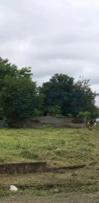 Foto 2 de Terreno / Lote à venda em Vila Elisa, Ribeirao Preto - SP