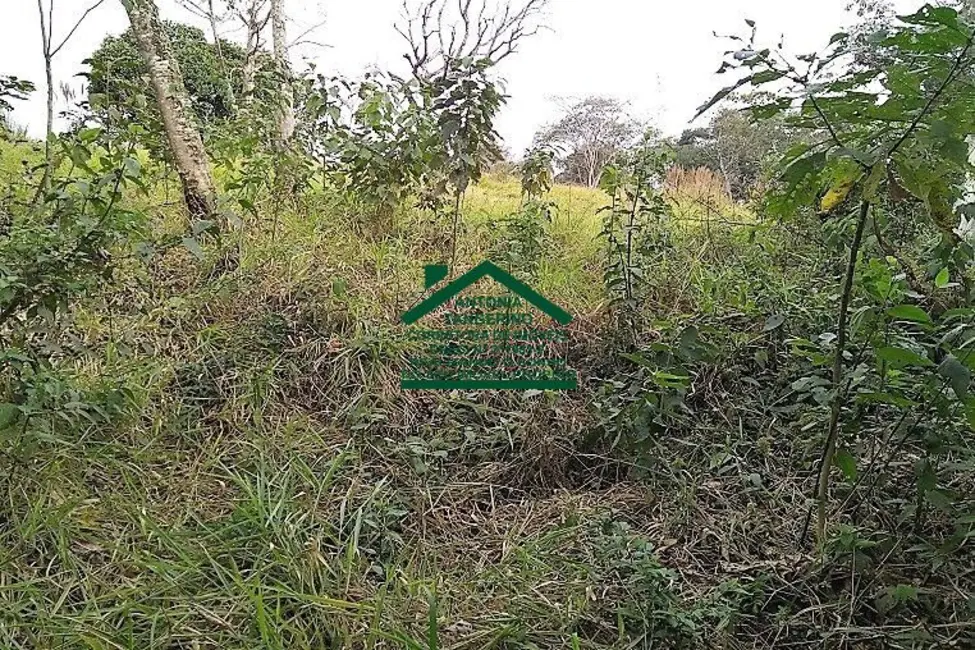 Foto 4 de Terreno / Lote à venda, 1010m2 em Jardim São Jorge,  - SP