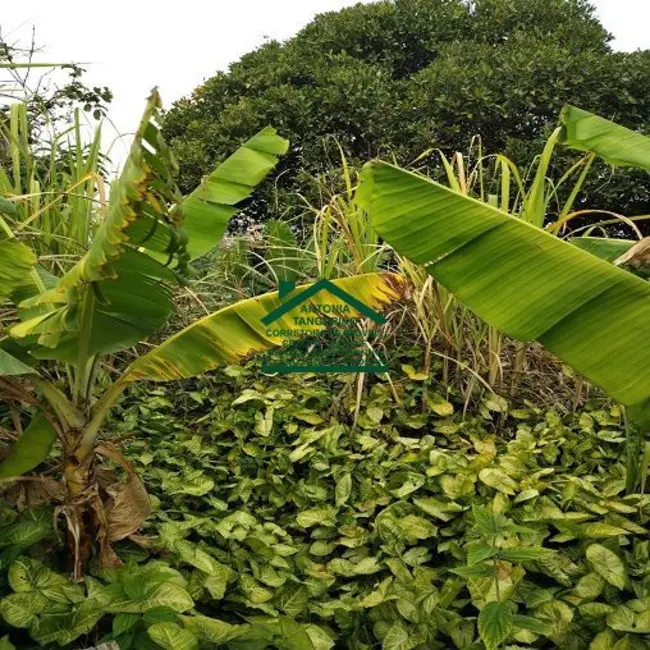 Foto 7 de Terreno / Lote à venda, 250m2 em Jardim Renata, Aruja - SP