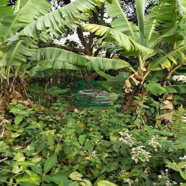 Foto 6 de Terreno / Lote à venda, 250m2 em Jardim Renata, Aruja - SP