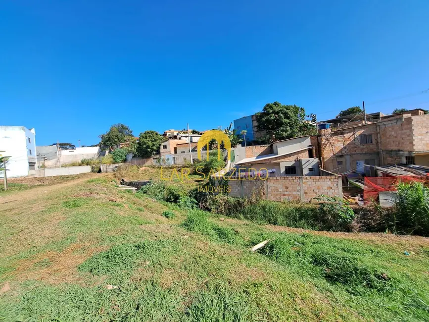 Foto 3 de Terreno / Lote à venda, 7000m2 em Sarzedo - MG