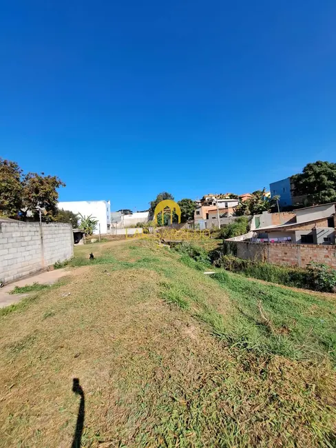 Foto 7 de Terreno / Lote à venda, 7000m2 em Sarzedo - MG