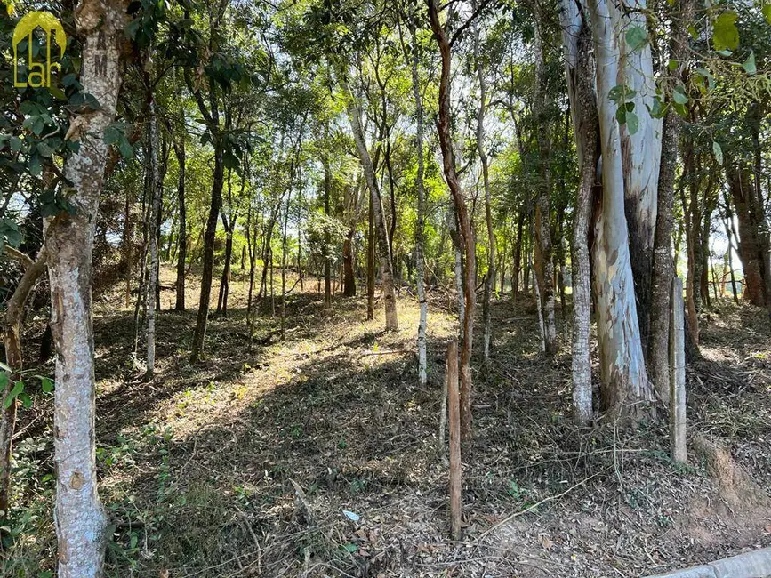 Terreno / Lote à venda, 5000m2 em Mario Campos - MG - imagem 6 Foto 6 de Terreno / Lote à venda, 5000m2 em Mario Campos - MG