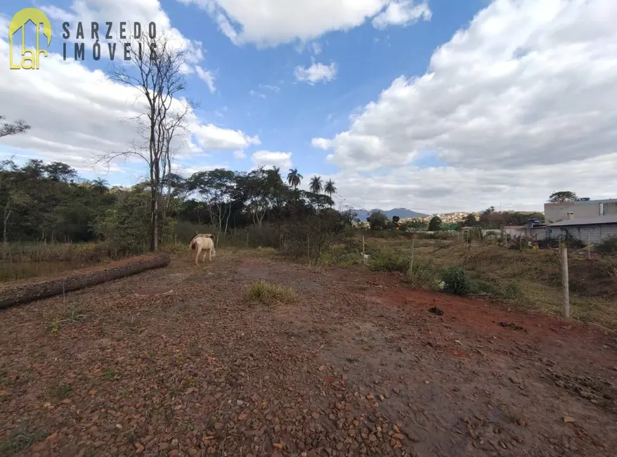 Foto 5 de Terreno / Lote à venda, 11700m2 em Sarzedo - MG