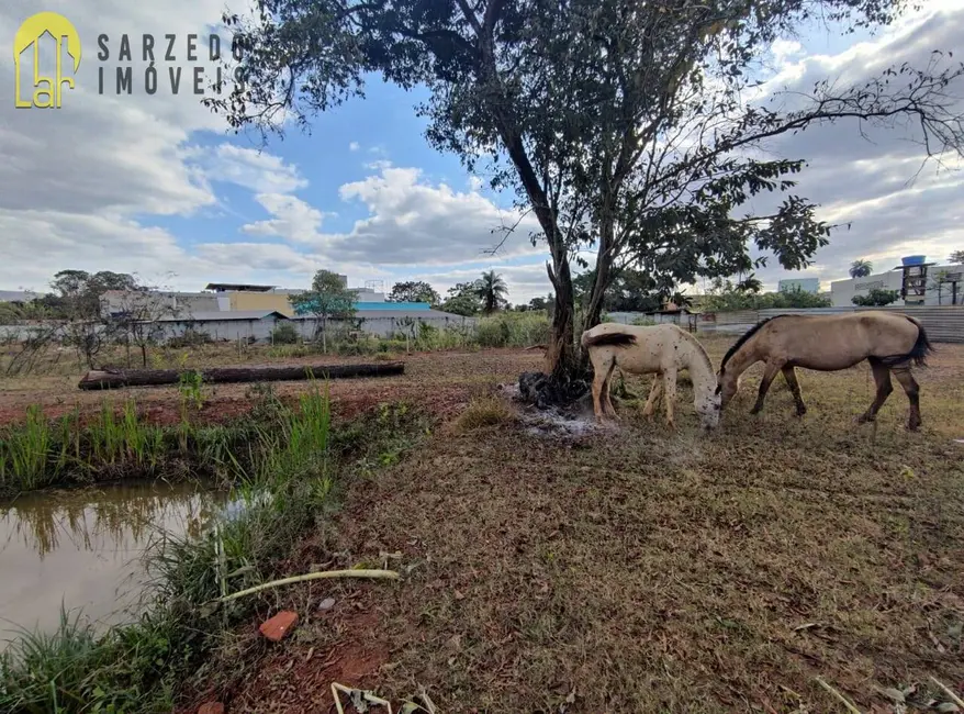 Foto 7 de Terreno / Lote à venda, 11700m2 em Sarzedo - MG