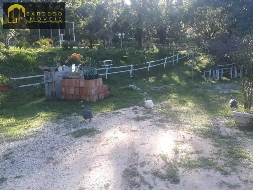 Foto 4 de Sítio / Rancho com 3 quartos à venda, 10000m2 em Bandeirinhas, Betim - MG