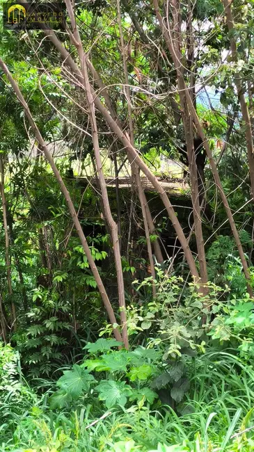 Foto 4 de Terreno / Lote à venda, 360m2 em Sarzedo - MG