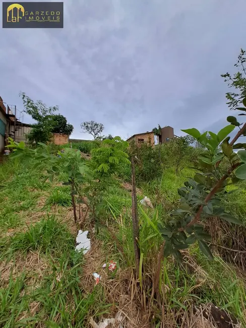 Foto 5 de Terreno / Lote à venda, 385m2 em Sarzedo - MG