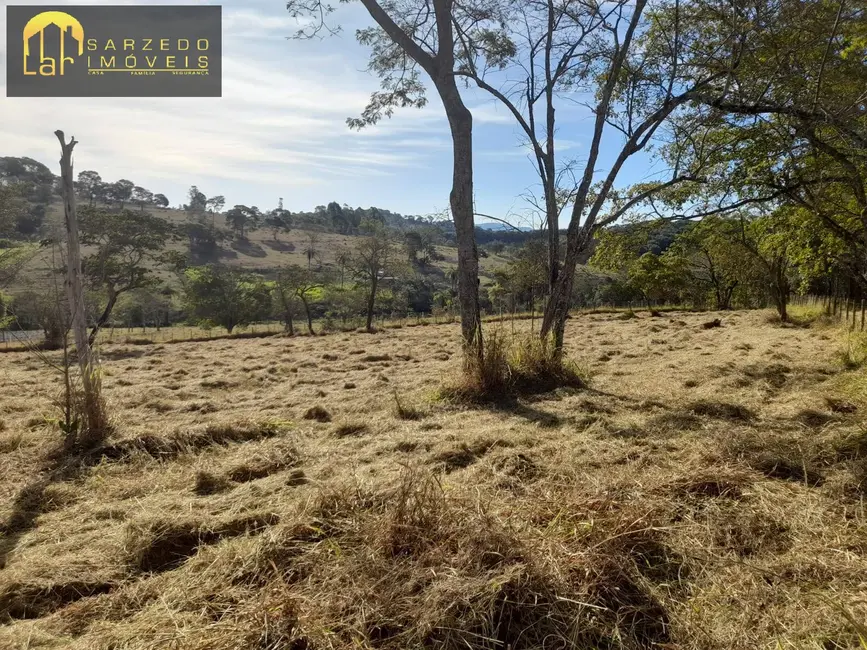 Foto 8 de Terreno / Lote à venda, 30000m2 em Bonfim - MG