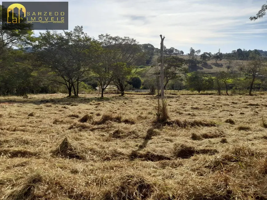 Foto 6 de Terreno / Lote à venda, 30000m2 em Bonfim - MG