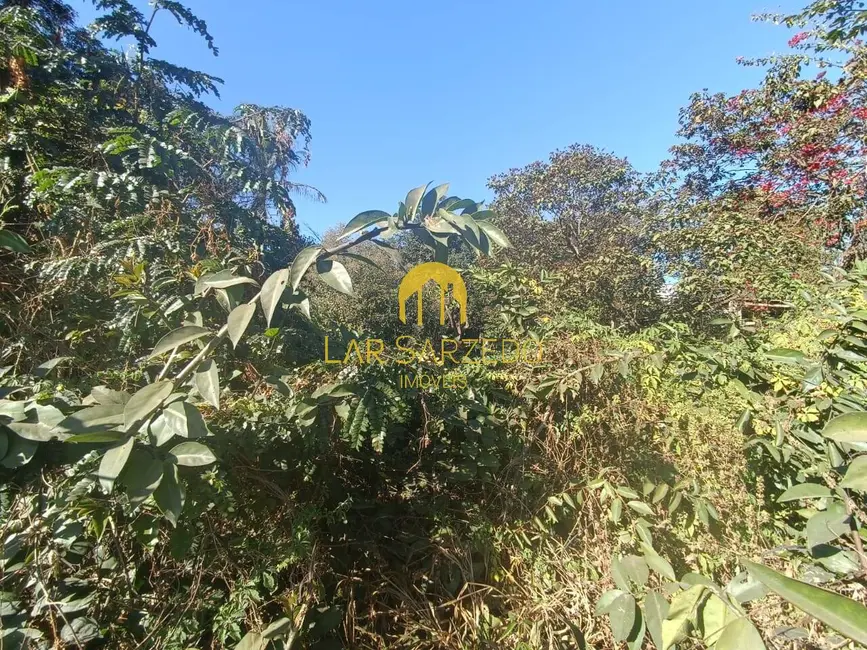 Foto 8 de Chácara com 3 quartos à venda, 4470m2 em Sarzedo - MG